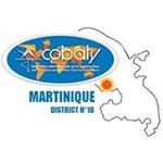 logo Cobaty